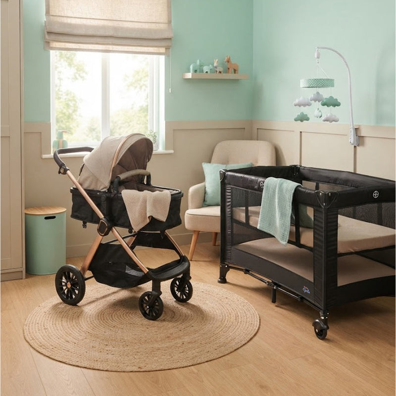 The Newborn Travel & Sleep Set